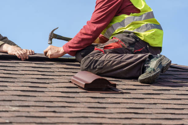 Best Roof Gutter Cleaning  in Fruitdale, CA