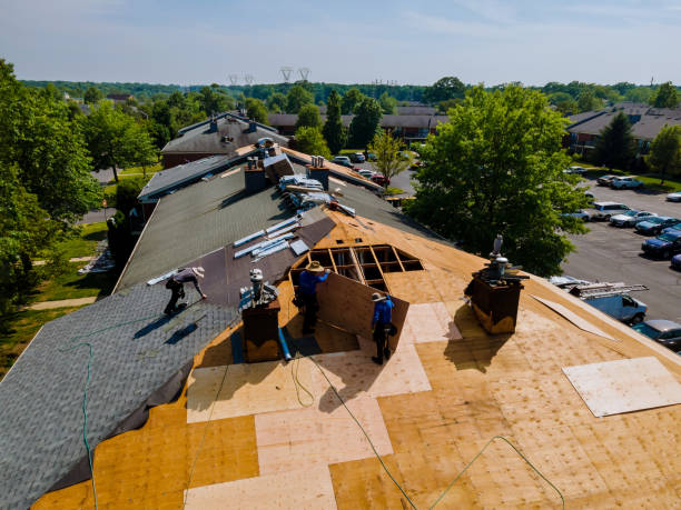 Roof Gutter Cleaning in Fruitdale, CA