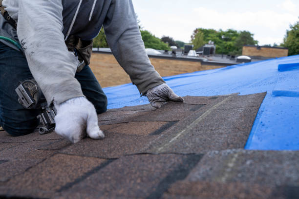 Best Commercial Roofing Services  in Fruitdale, CA