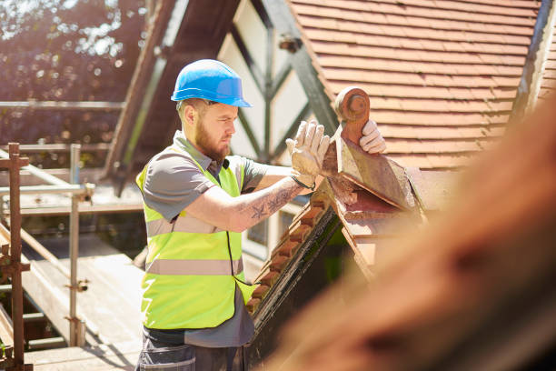 Best Roof Maintenance Services  in Fruitdale, CA