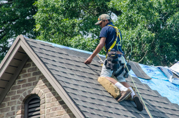 Best Shingle Roofing Installation  in Fruitdale, CA